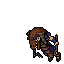 Pharaoh Male